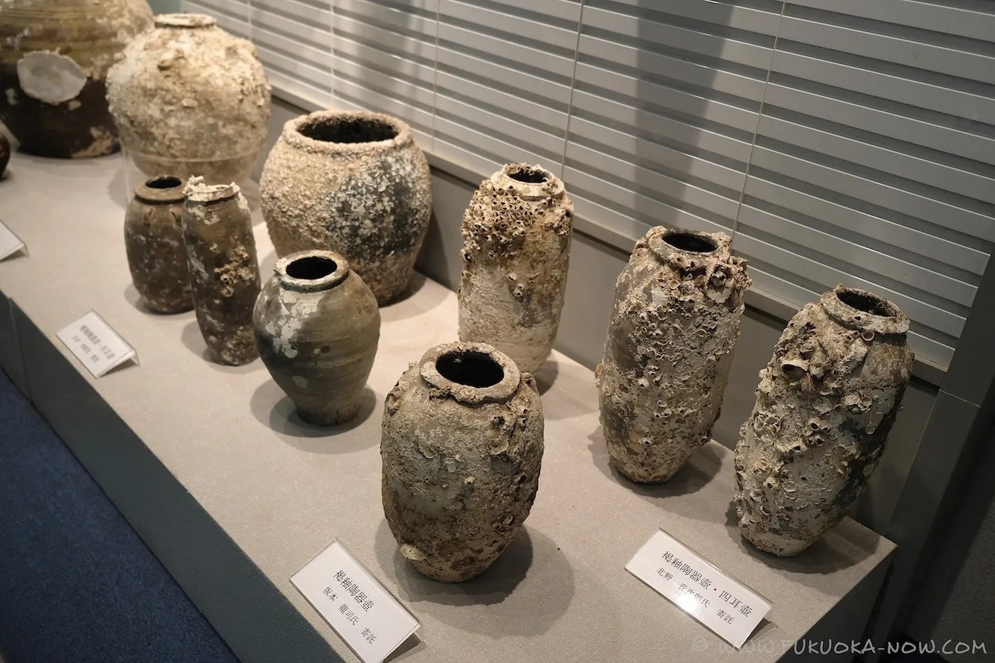 🏛️ 마쓰우라 시립 매장문화재 센터 (마쓰우라 시리츠 마이조분카자이 센타)